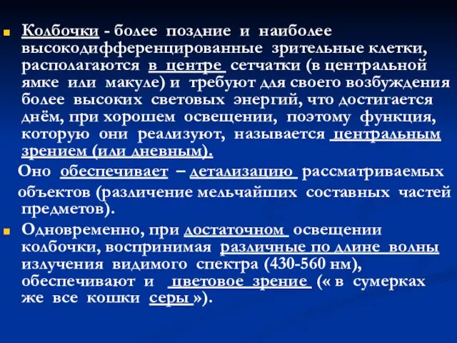 Колбочки - более поздние и наиболее высокодифференцированные зрительные клетки, располагаются в