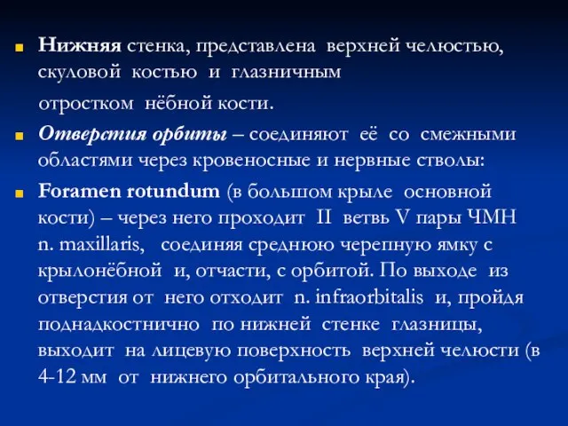 Нижняя стенка, представлена верхней челюстью, скуловой костью и глазничным отростком нёбной