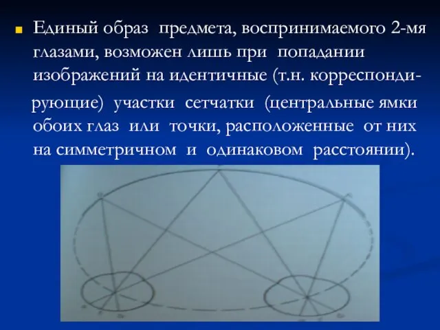 Единый образ предмета, воспринимаемого 2-мя глазами, возможен лишь при попадании изображений