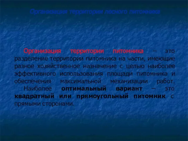 Организация территории питомника – это разделение территории питомника на части, имеющие