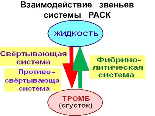 Взаимодействие звеньев системы РАСК