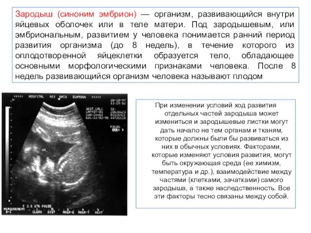 Зародыш (синоним эмбрион) — организм, развивающийся внутри яйцевых оболочек или в