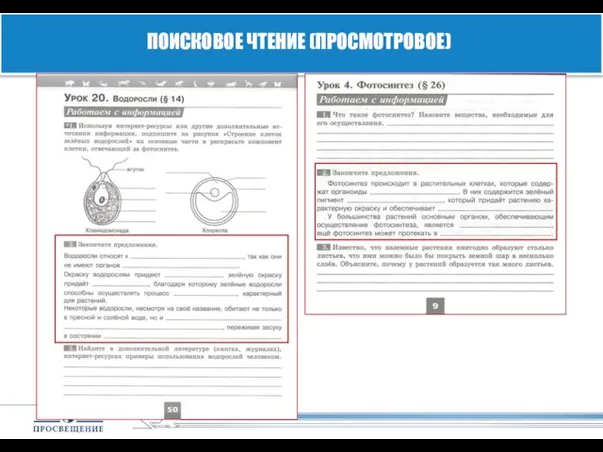 ПОИСКОВОЕ ЧТЕНИЕ (ПРОСМОТРОВОЕ)