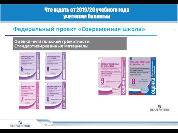 Федеральный проект «Современная школа» Оценка читательской грамотности. Стандартизированные материалы Что ждать