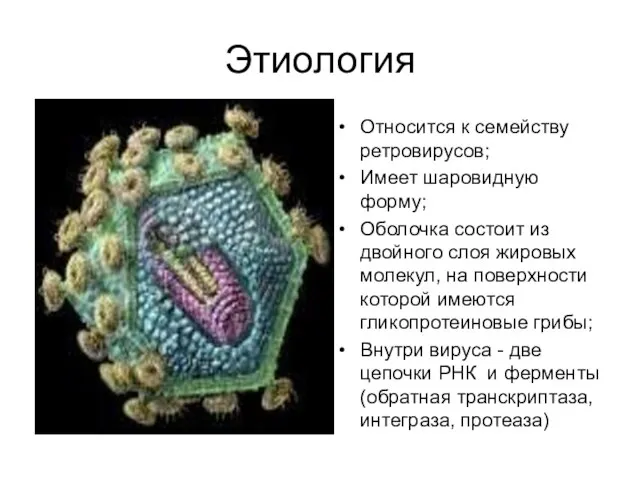 Этиология Относится к семейству ретровирусов; Имеет шаровидную форму; Оболочка состоит из