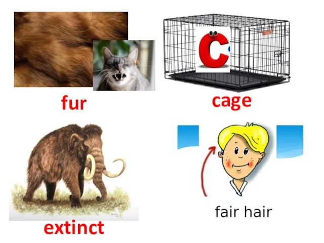 fur cage extinct