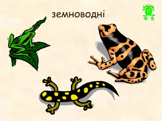 земноводні