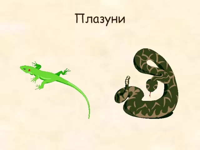 Плазуни