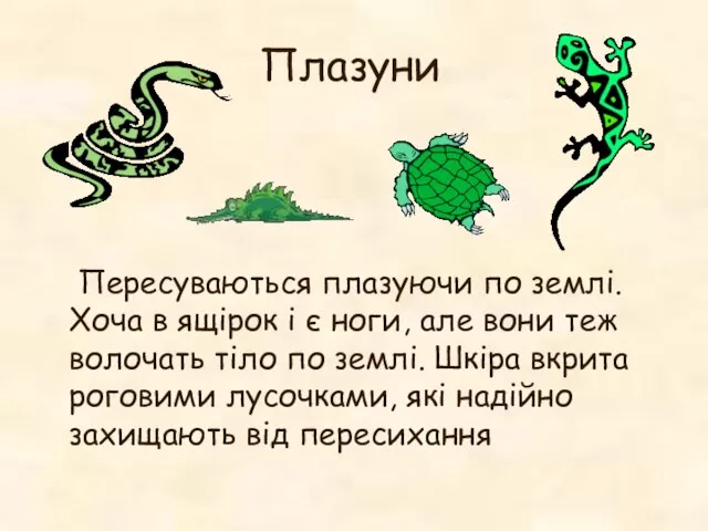 Плазуни Пересуваються плазуючи по землі. Хоча в ящірок і є ноги,