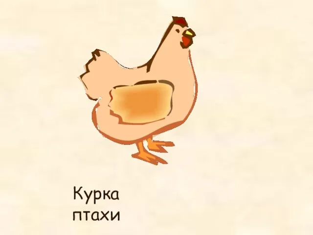 Курка птахи