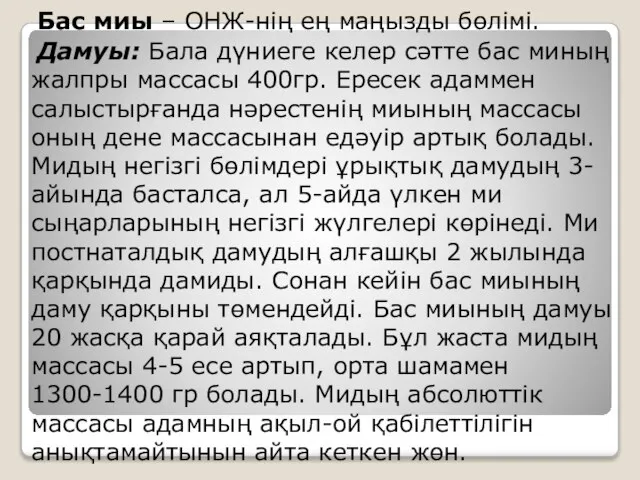 Бас миы – ОНЖ-нің ең маңызды бөлімі. Дамуы: Бала дүниеге келер