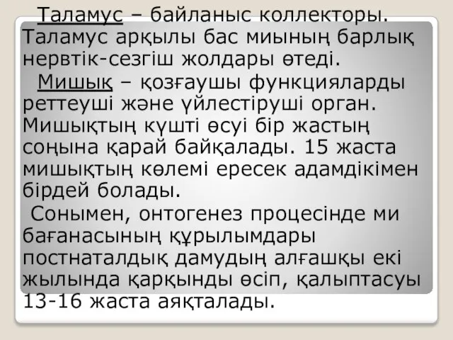 Таламус – байланыс коллекторы. Таламус арқылы бас миының барлық нервтік-сезгіш жолдары