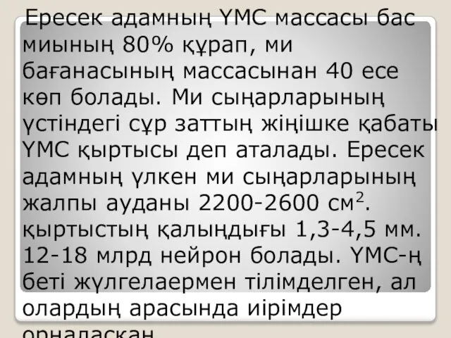 Ересек адамның ҮМС массасы бас миының 80% құрап, ми бағанасының массасынан