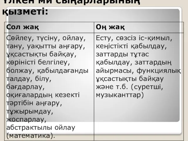 Үлкен ми сыңарларының қызметі: