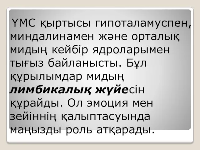 ҮМС қыртысы гипоталамуспен, миндалинамен және орталық мидың кейбір ядроларымен тығыз байланысты.