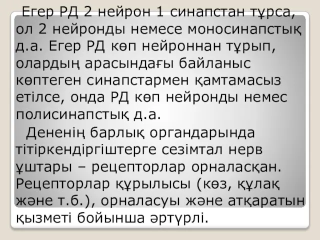 Егер РД 2 нейрон 1 синапстан тұрса, ол 2 нейронды немесе