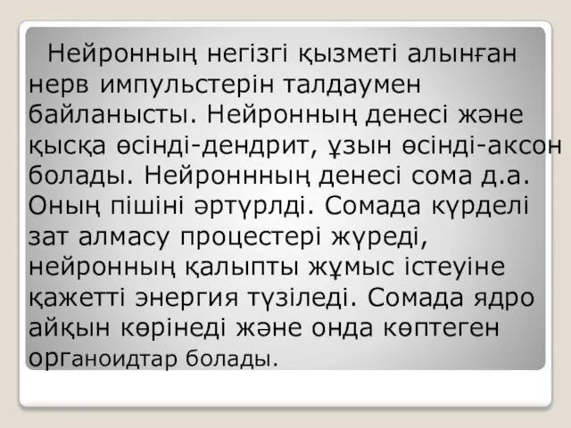 Нейронның негізгі қызметі алынған нерв импульстерін талдаумен байланысты. Нейронның денесі және