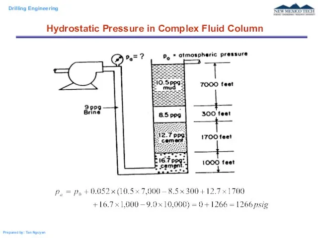 Hydrostatic Pressure in Complex Fluid Column