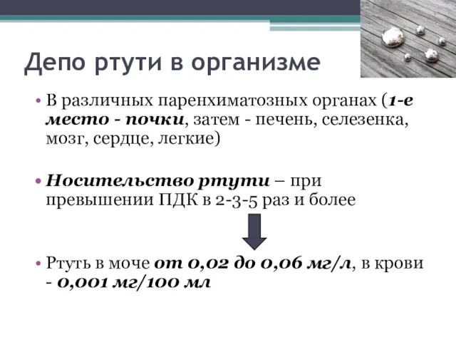 Депо ртути в организме В различных паренхиматозных органах (1-е место -