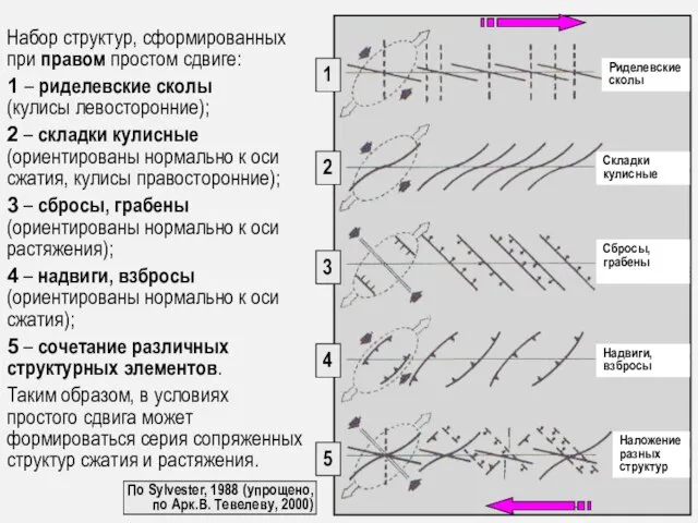 По Sylvester, 1988 (упрощено, по Арк.В. Тевелеву, 2000) Набор структур, сформированных