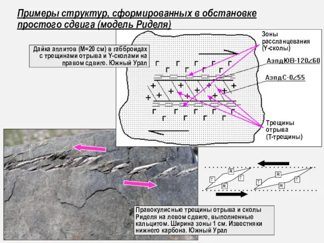 Дайка аплитов (М=20 см) в габброидах с трещинами отрыва и Y-сколами