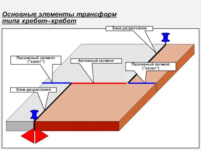 Основные элементы трансформ типа хребет–хребет Активный сегмент Пассивный сегмент ("хвост") Зона