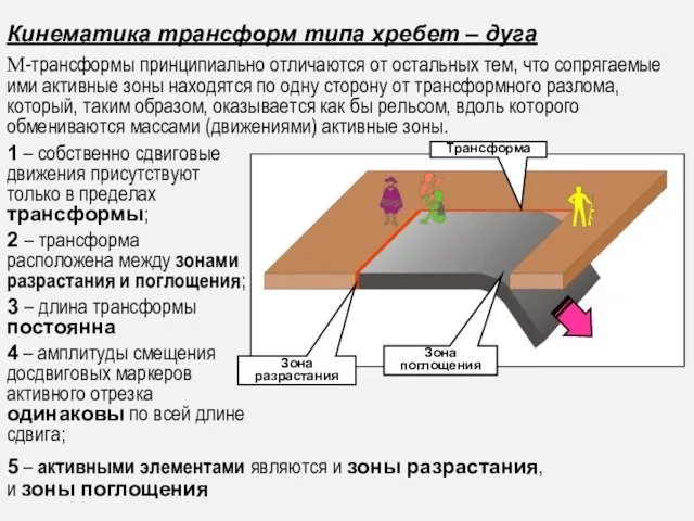 Кинематика трансформ типа хребет – дуга М-трансформы принципиально отличаются от остальных