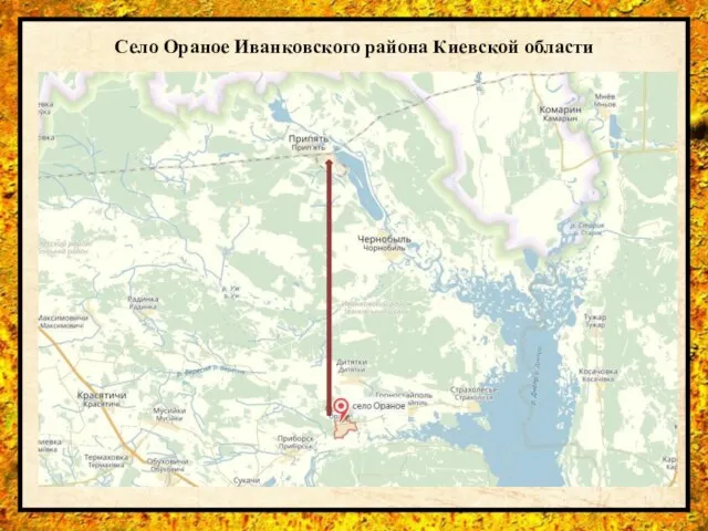 Село Ораное Иванковского района Киевской области