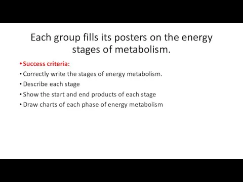 Each group fills its posters on the energy stages of metabolism.