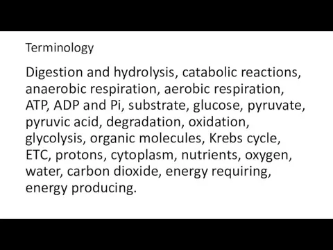 Terminology Digestion and hydrolysis, catabolic reactions, anaerobic respiration, aerobic respiration, ATP,