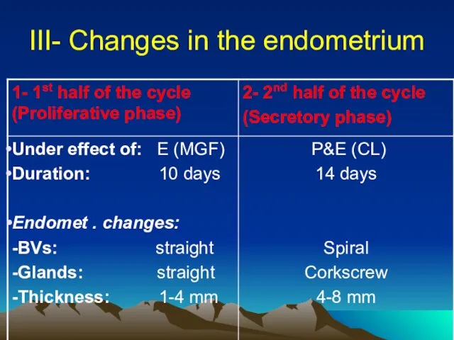 III- Changes in the endometrium