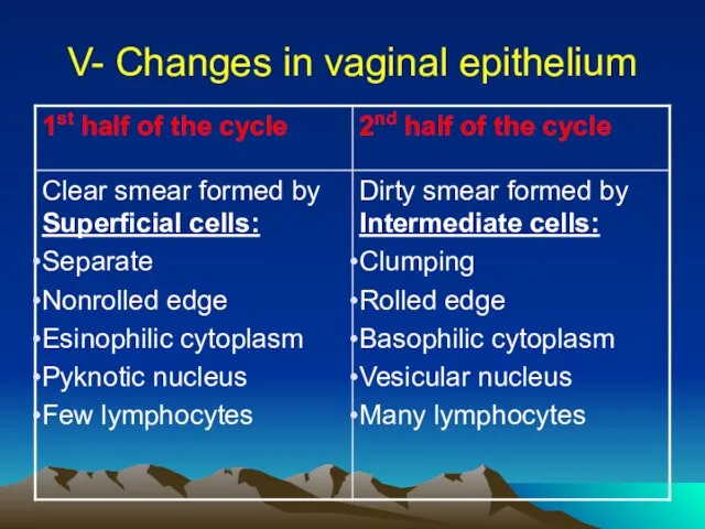 V- Changes in vaginal epithelium