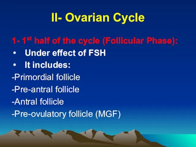 II- Ovarian Cycle 1- 1st half of the cycle (Follicular Phase):