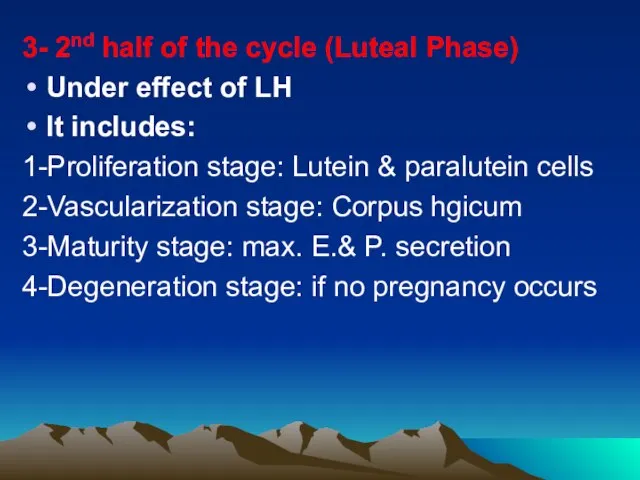 3- 2nd half of the cycle (Luteal Phase) Under effect of