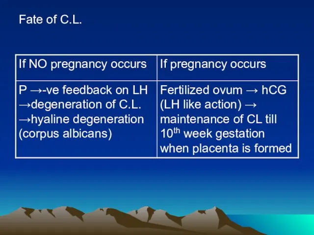 Fate of C.L.