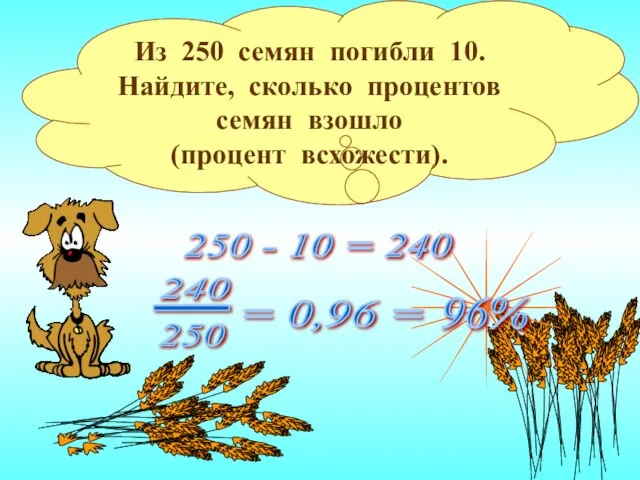 Из 250 семян погибли 10. Найдите, сколько процентов семян взошло (процент