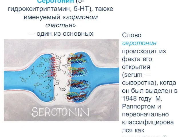 Серотонин (5-гидрокситриптамин, 5-НТ), также именуемый «гормоном счастья» — один из основных