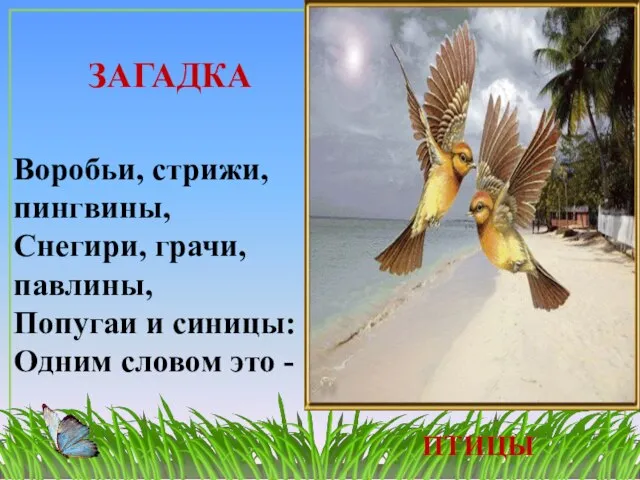 ЗАГАДКА ПТИЦЫ Воробьи, стрижи, пингвины, Снегири, грачи, павлины, Попугаи и синицы: Одним словом это - ...