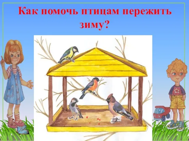 Как помочь птицам пережить зиму?