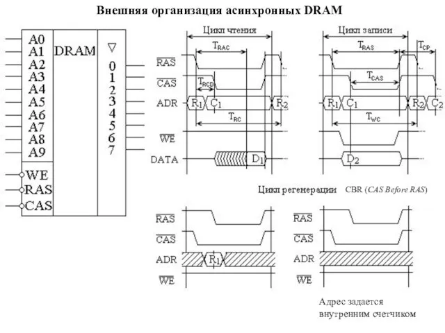 Внешняя организация асинхронных DRAM Адрес задается внутренним счетчиком CBR (CAS Before RAS)