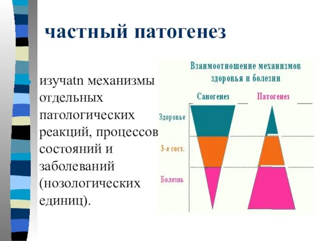 частный патогенез изучаtn механизмы отдельных патологических реакций, процессов, состояний и заболеваний (нозологических единиц).