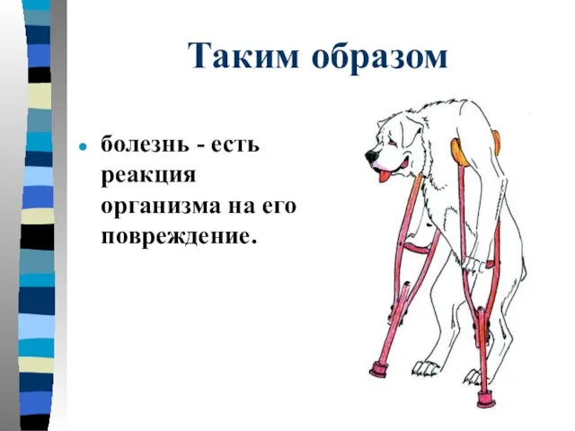 Таким образом болезнь - есть реакция организма на его повреждение.