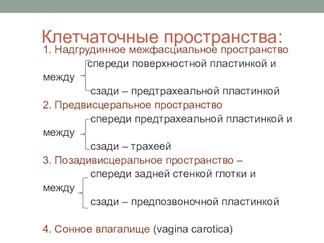 Клетчаточные пространства: 1. Надгрудинное межфасциальное пространство спереди поверхностной пластинкой и между