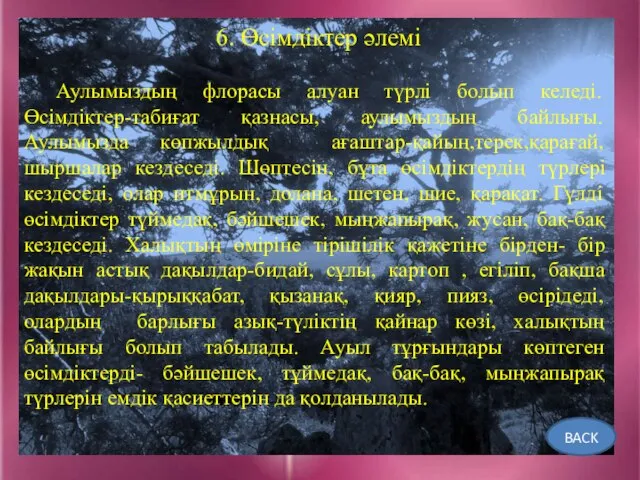 6. Өсімдіктер әлемі Аулымыздың флорасы алуан түрлі болып келеді. Өсімдіктер-табиғат қазнасы,