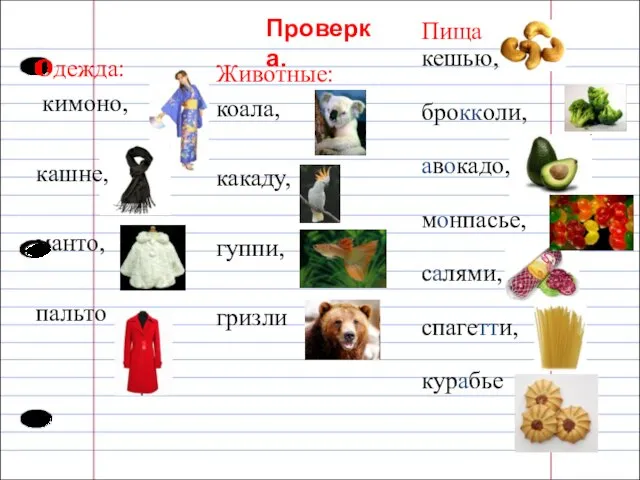 Проверка. Одежда: кимоно, кашне, манто, пальто Животные: коала, какаду, гуппи, гризли