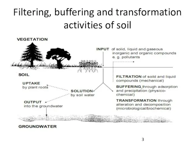 Filtering, buffering and transformation activities of soil