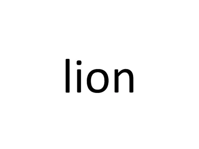 lion