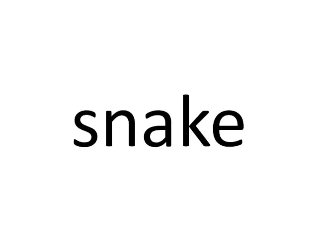 snake