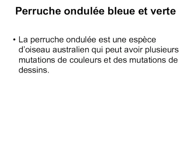 Perruche ondulée bleue et verte La perruche ondulée est une espèce