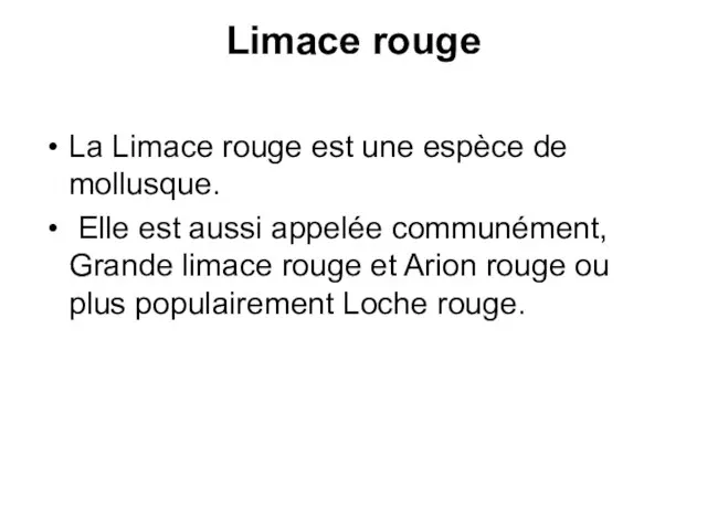 Limace rouge La Limace rouge est une espèce de mollusque. Elle